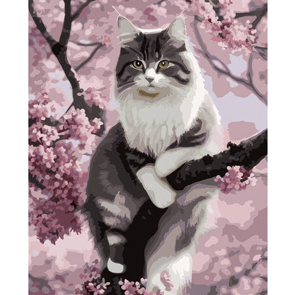 Painting by numbers 40x50cm - Maaleo kitten 22783