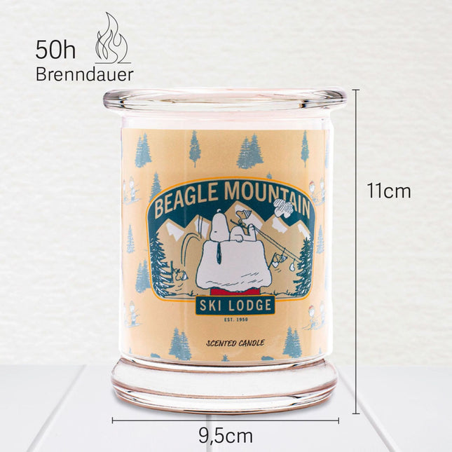Peanuts Scented Candle in Glass Jar, Gift-Ready