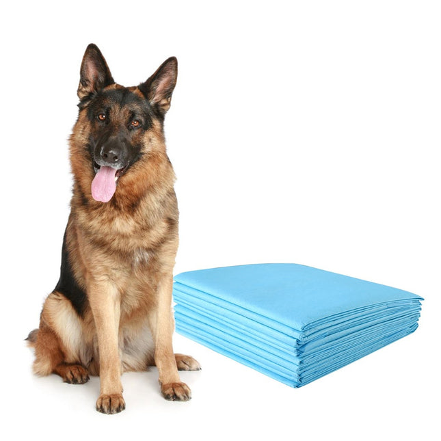 Pet Training Pads, 75x75 cm, 150 Pack, Leak-Proof, 5-Layer