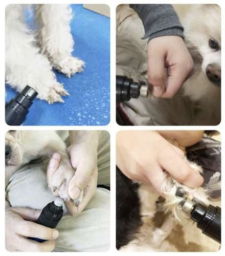 Pet claw trimmer Purlov 21638