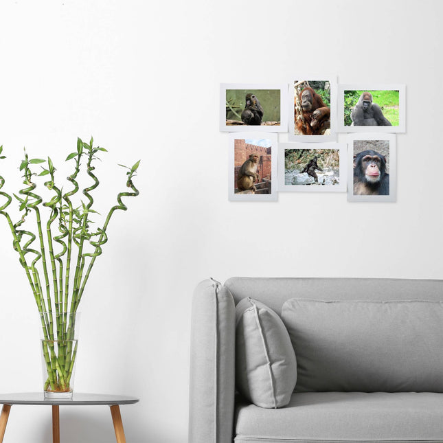 Picture frame for multiple photos