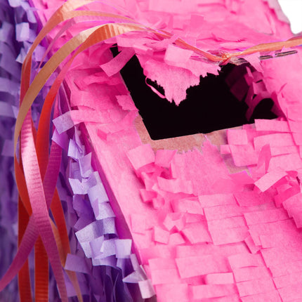 Pinata crown