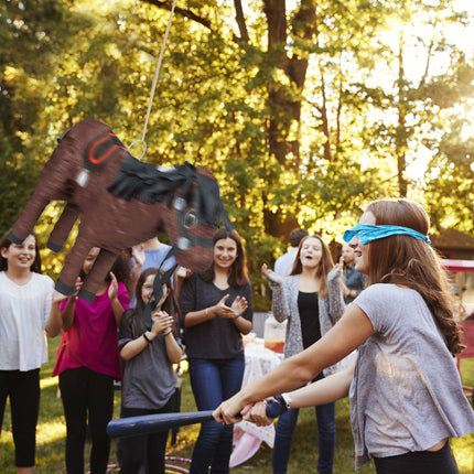 Pinata pony