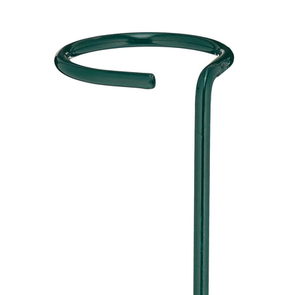 Plant Supports with Ring, Set of 10 Metal Stakes