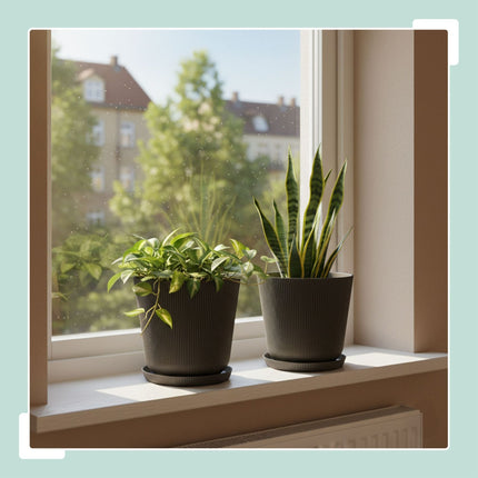 Planters with Saucers, Set of 2, Durable Plastic