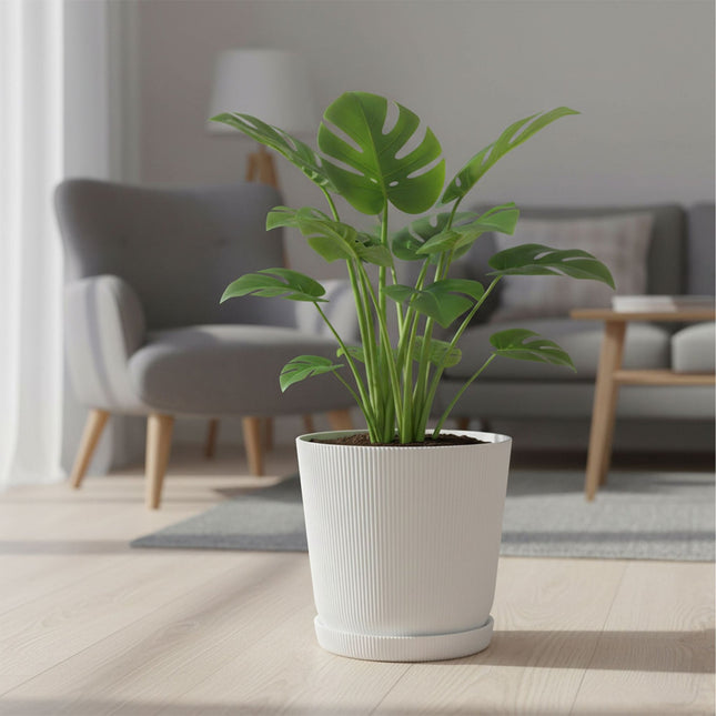 Planters with Saucers, Set of 2, Indoor/Outdoor