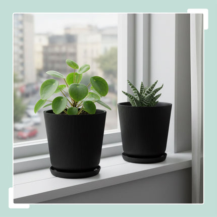 Planters with Saucers, Set of 2, Indoor/Outdoor