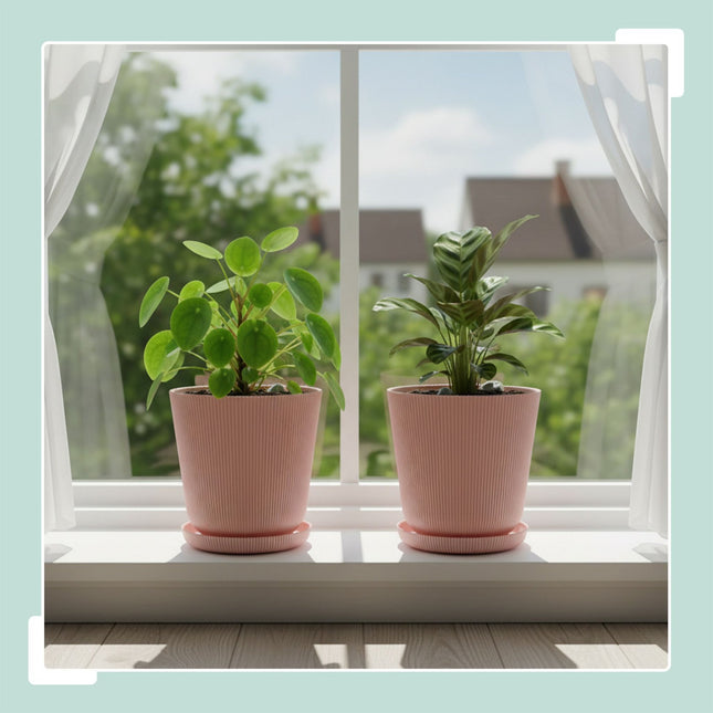 Bloempotten met schotels, set van 2, voor binnen en buiten