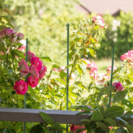 Planting sticks 75 cm in a set of 10