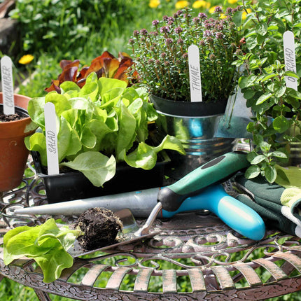 Plant labels in a set of 500