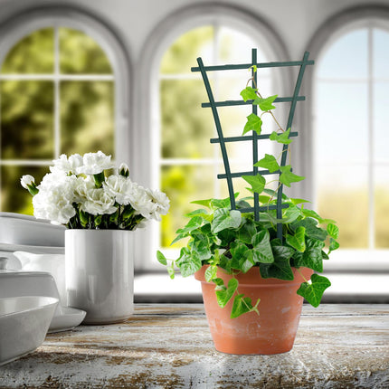 Plant support 12-pack
