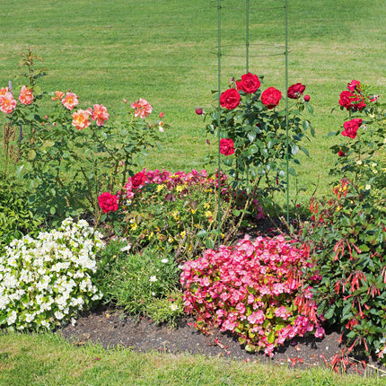Plant support 150 cm, set of 2