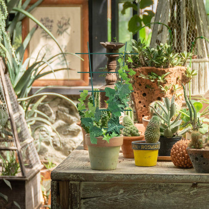 Plant support set of 12 pcs