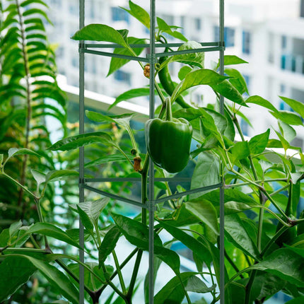 Plant support set of 4,120 cm