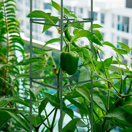 Plant support set of 4,150 cm