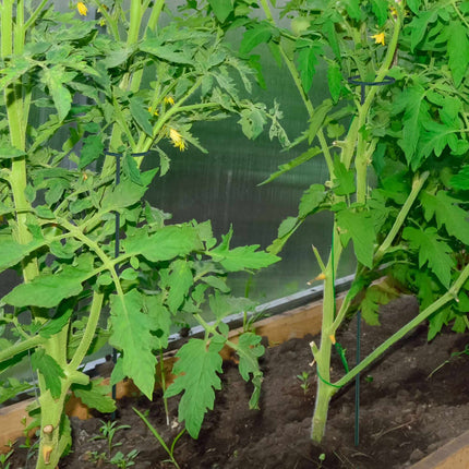 Plant supports in metal 10-pack