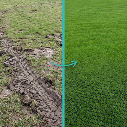 Plastic Lawn Grid for Stabilizing and Protecting Lawns