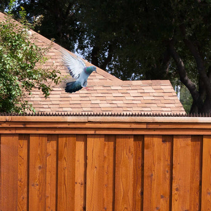 Plastic bird protection – Pack of 10