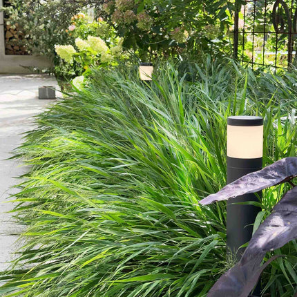 Polly Bollard 38cm 350lm 3000K 5W Anthracite