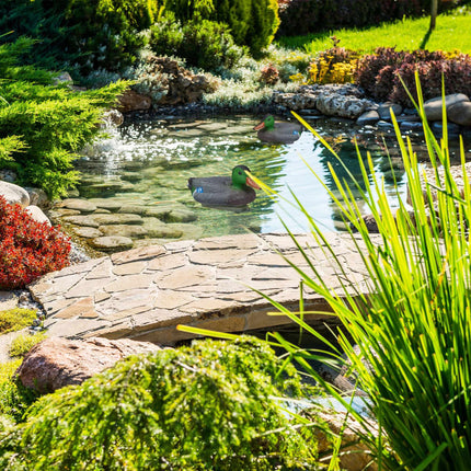Pond decoration wild duck