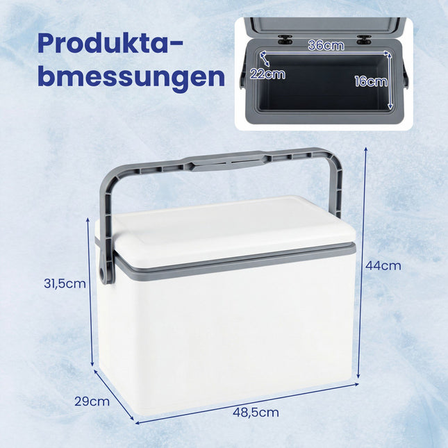 Portable 12L Hard-Shell Cooler with Ergonomic Handle
