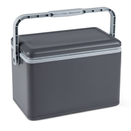 Portable 12L Hard-Shell Cooler with Handle, Dark Grey