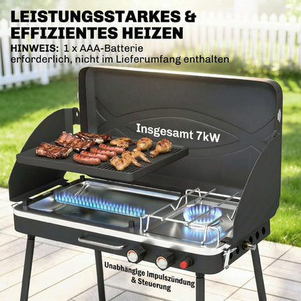 Portable 2-Burner Gas Grill, 7 kW, Tabletop Convertible