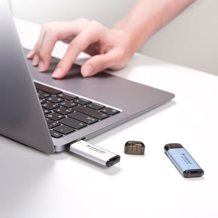 Portable Mini SSD ESD300C USB-C 2TB 10Gbps (R1050/W950 Mb/s) Silver