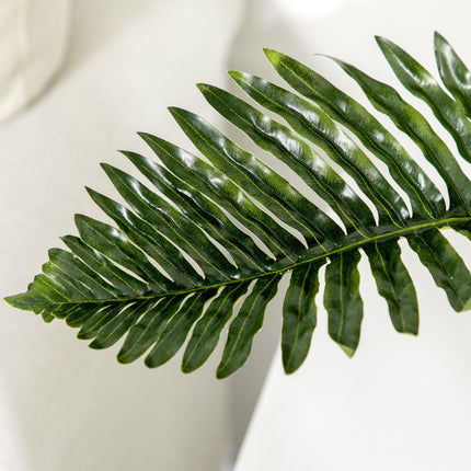 50 cm indoor pot plant - perfect for living room and bedroom