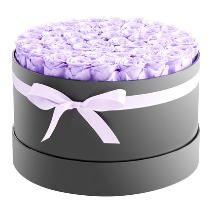 Preserved Roses, 50 in Round Box, Lavender Purple