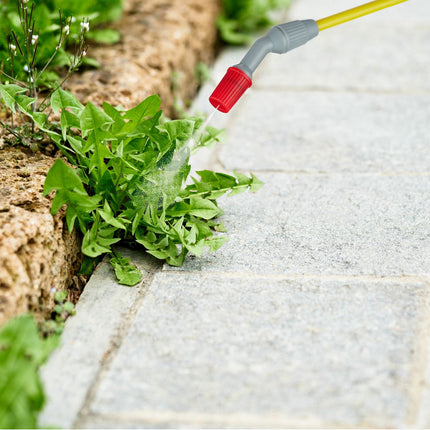 Pressure sprayer 5 l