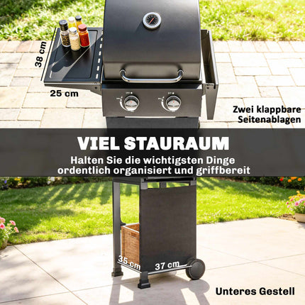 Propane Gas Grill with 2 Burners, Folding Shelves, Black