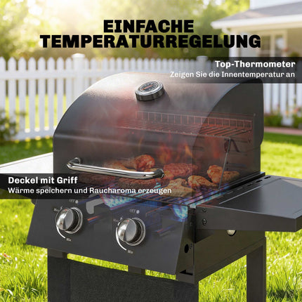 Propane Gas Grill with 2 Burners, Folding Shelves, Black