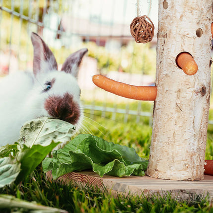 Rabbit toy in 2 parts