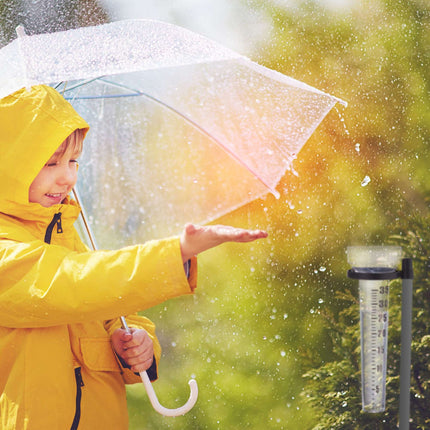 Rain gauge set of 2