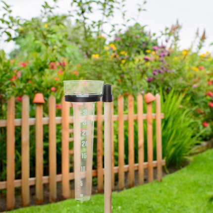 Rain gauge set of 2 with rod