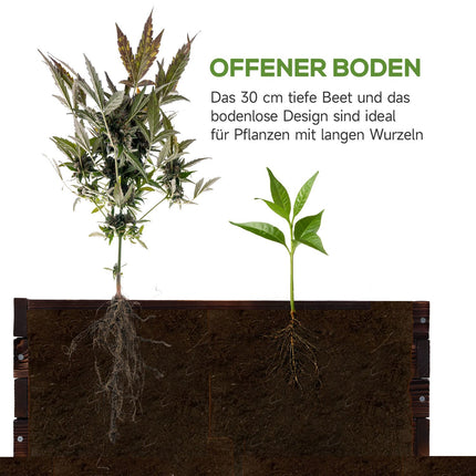 Planter box in solid wood, dark brown, 60x60x23 Cm