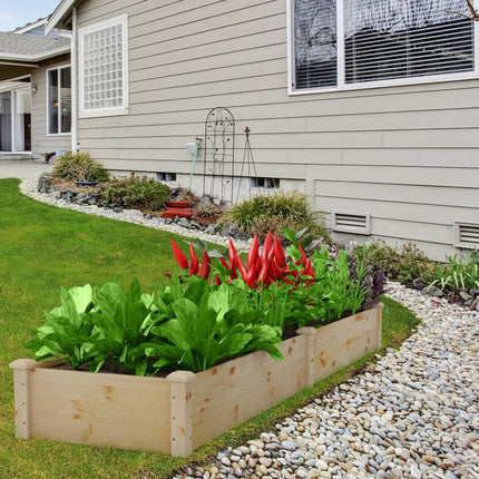 Raised Garden Bed, Fir Wood, 240x60x25 cm, Open Base