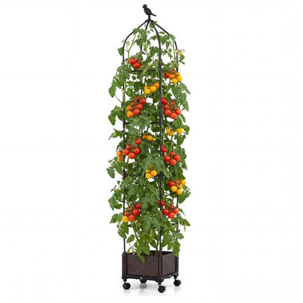 Raised Garden Bed With Obelisk Trellis, Self-Watering