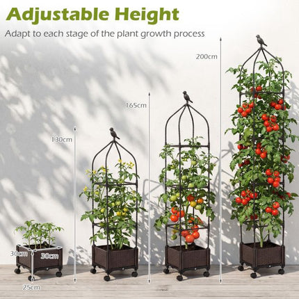 Raised Garden Bed With Obelisk Trellis, Self-Watering