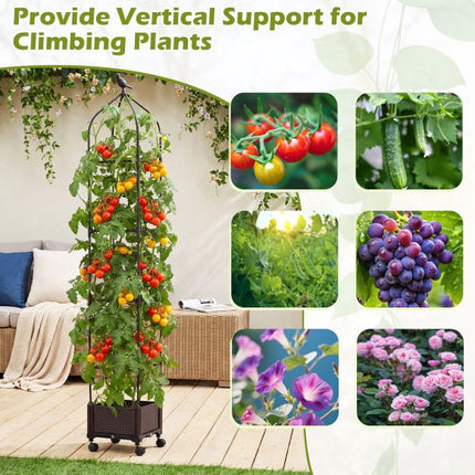Raised Garden Bed With Obelisk Trellis, Self-Watering