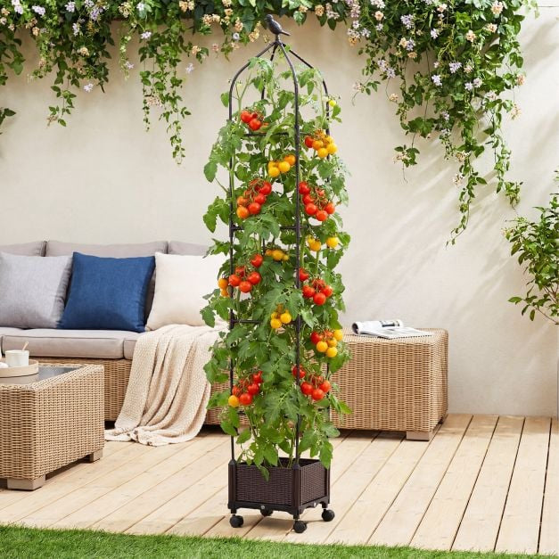 Raised Garden Bed With Obelisk Trellis, Self-Watering