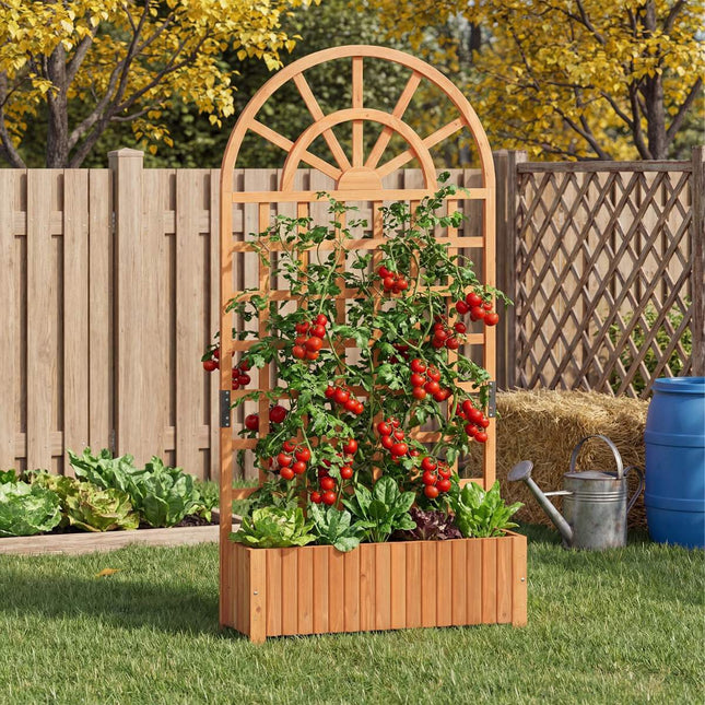 Raised Garden Bed With Trellis, 71 Inch Fir Wood