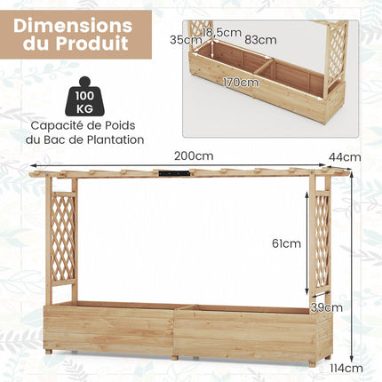 Raised Garden Bed With Trellis And Hanging Roof, 200 Cm