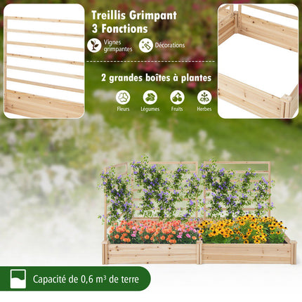 Raised Garden Bed With Trellis, Fir Wood, 222x114x110 cm