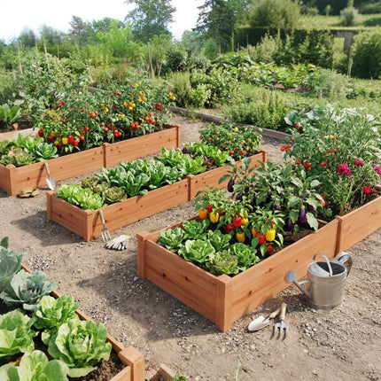 Raised Garden Bed, Wood, 240x60x25 cm, Open Bottom
