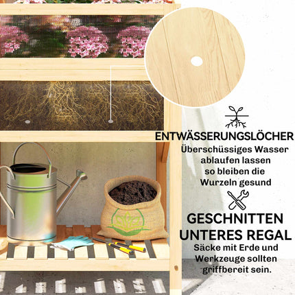 Raised Garden Bed with Cold Frame, Wood, Foldable Shelf