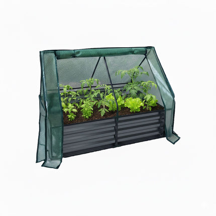 Raised Garden Bed with Greenhouse Cover