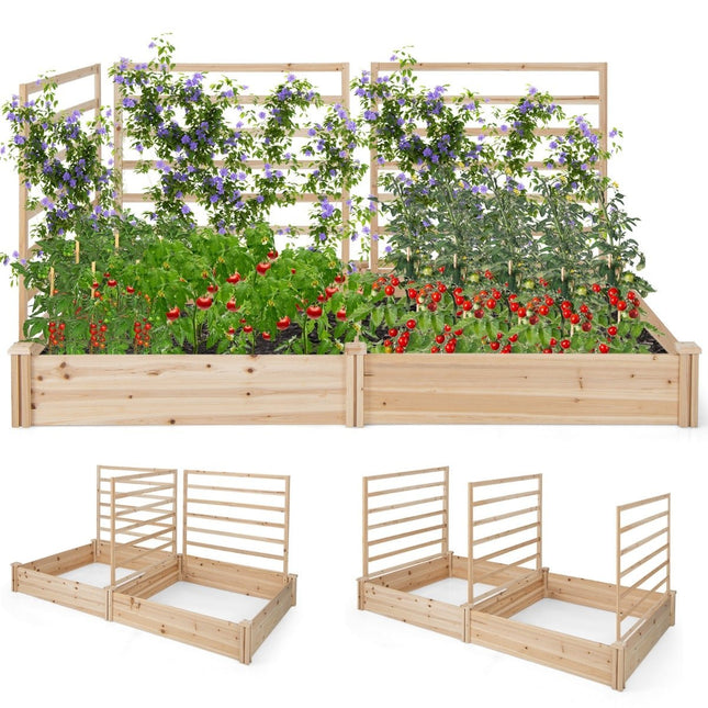 Raised Garden Bed with Trellis, 222x114x110 cm, Pine Wood
