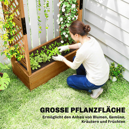 Raised Garden Bed with Trellis & Roof, 110x44x181 cm Wood